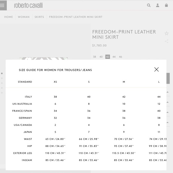 ROBERTO CAVALLI Skirt - Picture 7 of 9